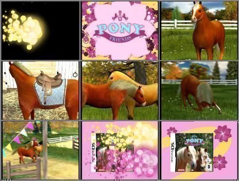 Nintendo Giochi: Ponie Freunds Shetland Ponys DS – Usato da Schüpfheim venduto da Games_Spielkonsolen
