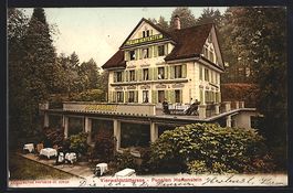 Hertenstein /Vierwaldstättersee, Pensio