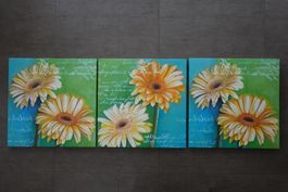 Leinwandbilder Blumen, 3 Stück, Blau/Grün/Gelb, 50x50 cm