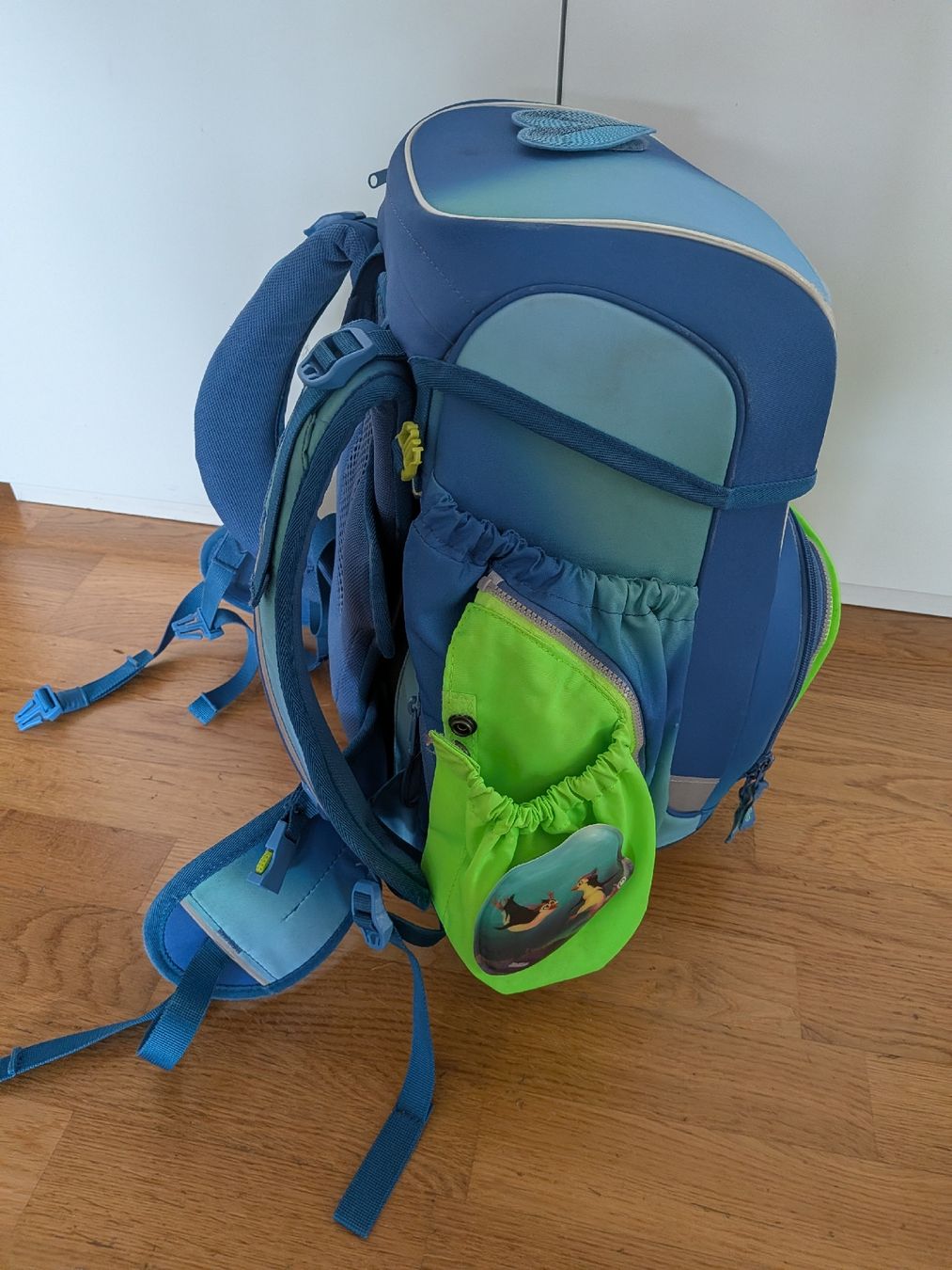 Borse & Zaini: Ergobag Schulrucksack Thek gebraucht  – Usato da Schwarzenbach SG venduto da Zwenke09 2