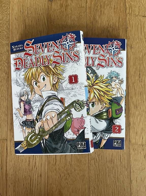 Livres: Seven Deadly Sins tome 1,2 – D'occasion à La Tour-de-Peilz par Nartan