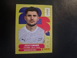 Panini WM 26 NZL 5
