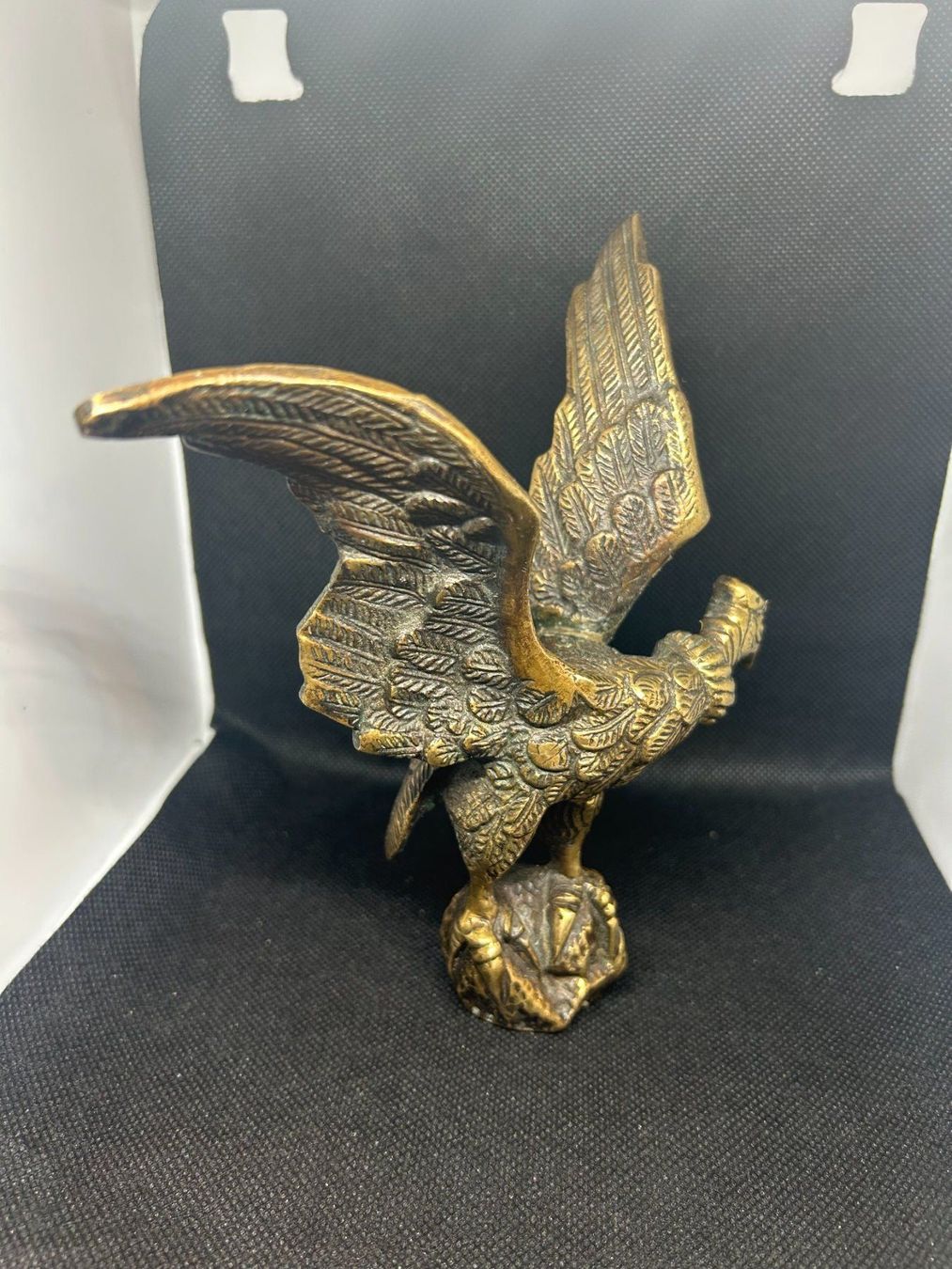 Sculture & Statue: Magnifique Bronze statue Condor – Usato da Lausanne venduto da Weber1007 4