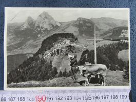 STOOS MIT MYTHEN SENN BETRUF KUH HOTEL FALTZ BESTOSSEN NADEL