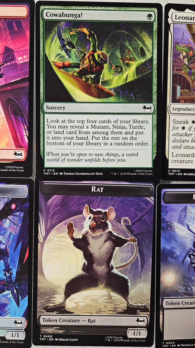 Magic The Gathering Cartes à collectionner: 10x Ninja Turtles Karten – D'occasion à Basel par True_Hofer_Store 2