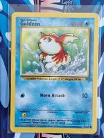 Goldeen - Goldini - Jungle Dschungel - Unlimited