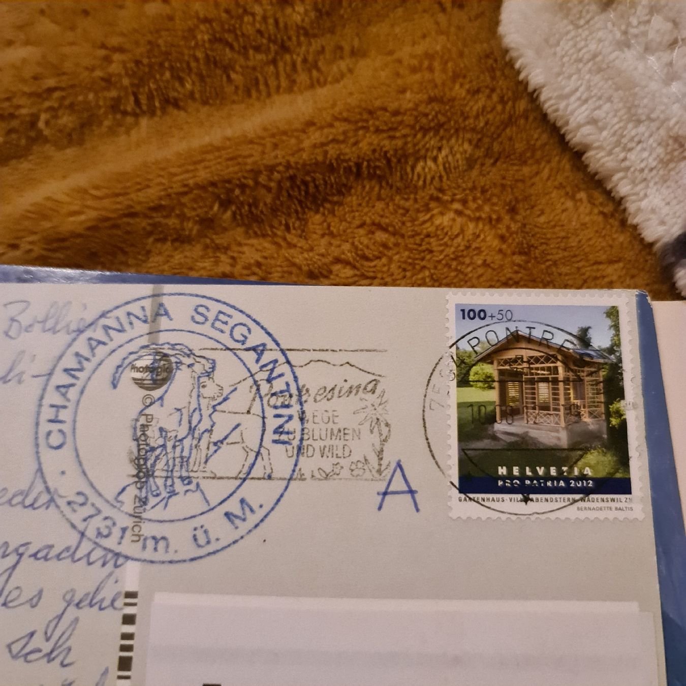 Cartoline postali: Pizza Aldris Steinbock. u blick – Usato da Zürich venduto da jaa_8n7l 2