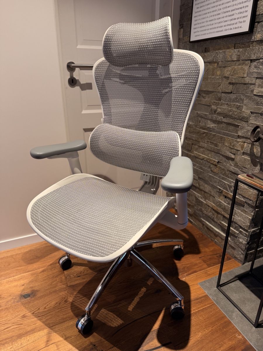 Sedie: Chaise Ergonomique - Sihoo Doro C300 – Usato da St-Cergue venduto da Romain.1264