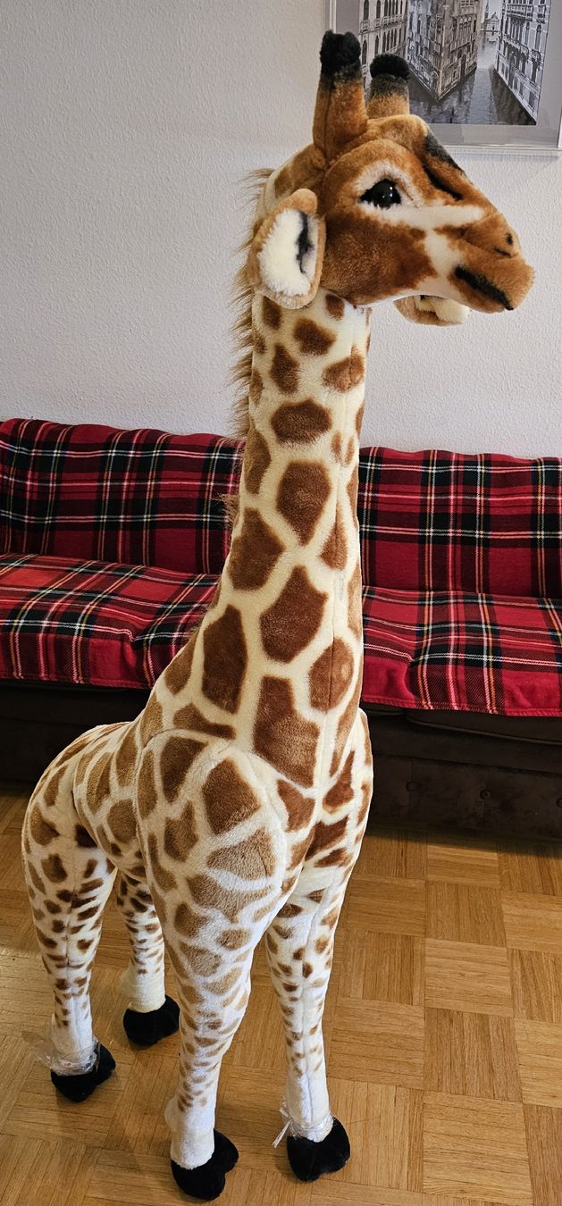 Giocattoli: Toy - Girraf  – Usato da Carouge GE venduto da dumriya 1