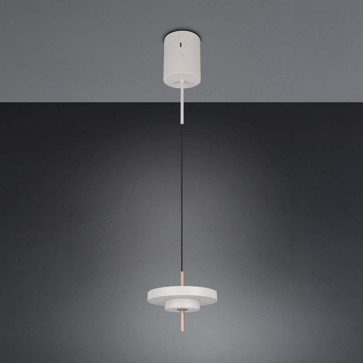 Lampadari & plafoniere: LED Pendelleuchte, Dimmer, CCT, 20 cm Ø – Nuovo (secondo la descrizione) da Kreuzlingen venduto da Smart-Light 2