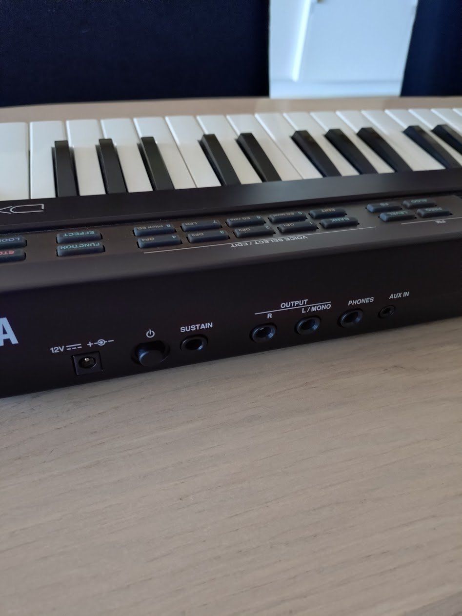 Yamaha Strumenti musicali: Yamaha Reface DX Synthesizer – Usato da Aegerten venduto da vou_89zl 5