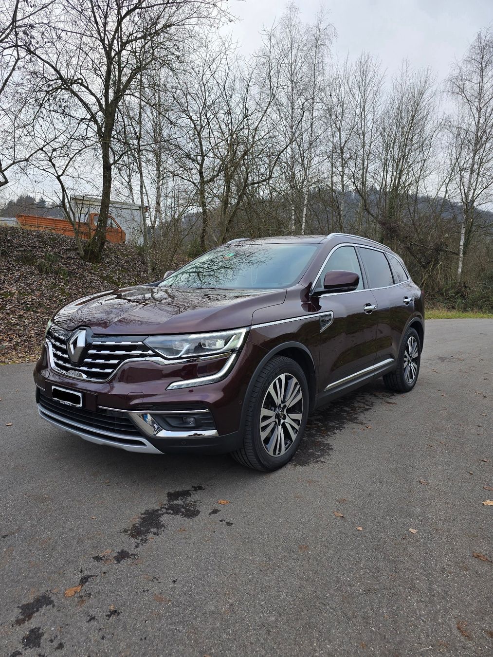 Renault Automobili: RENAULT Koleos 2.0 dCi Initiale Paris 4x4 Xtronic – Usato da Freienwil venduto da mar_xfq8