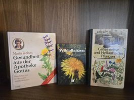 3 Wildpflanzen Bücher, Maria Treben, Heilkräfte der Pflanzen