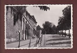 GENEVE - La Treille - 1952