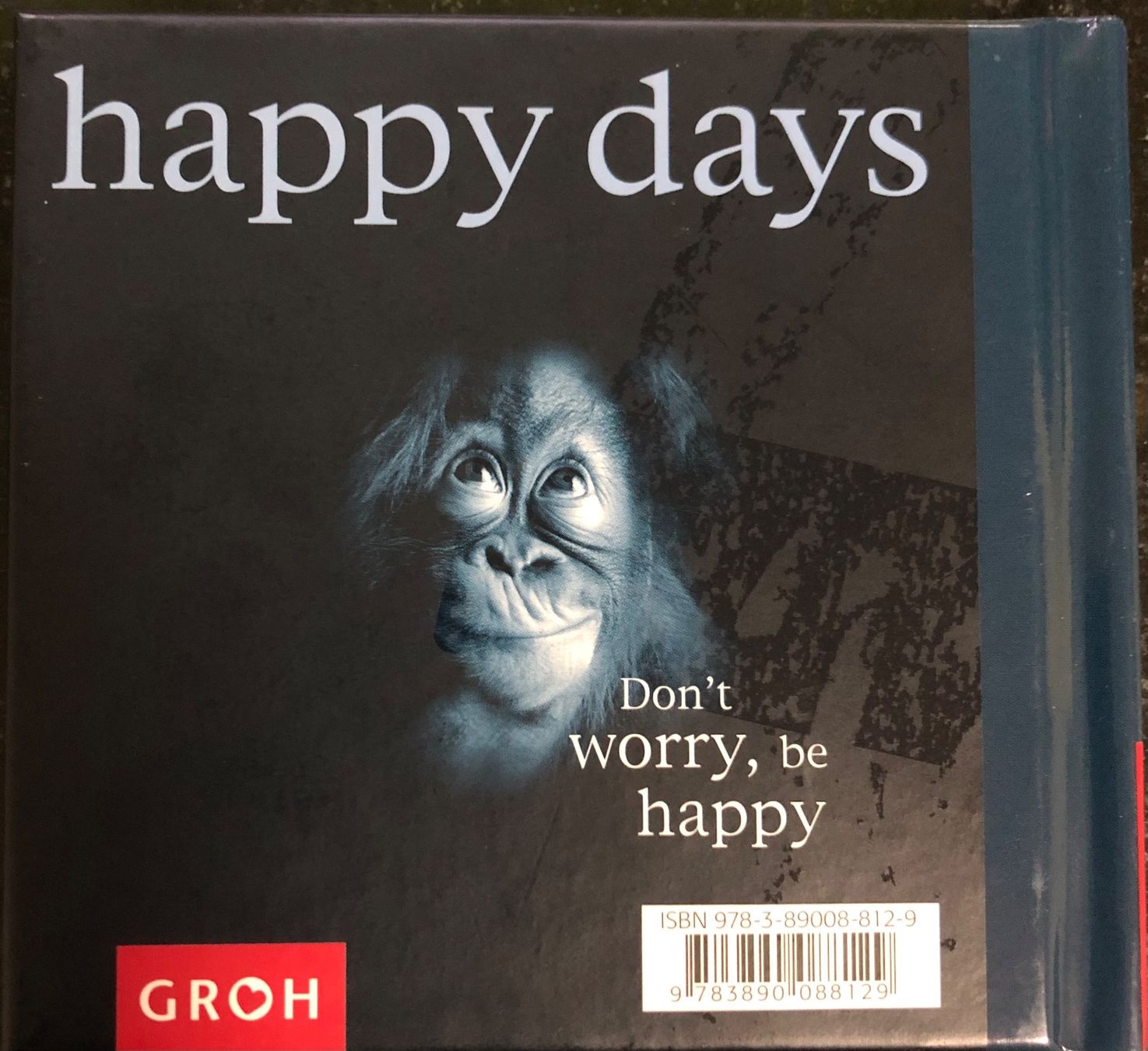 Bücher: Don`t worry, be happy , GROH , Chiara Doran – Neu (gemäss Beschreibung) aus Hochfelden von powerplay61 1