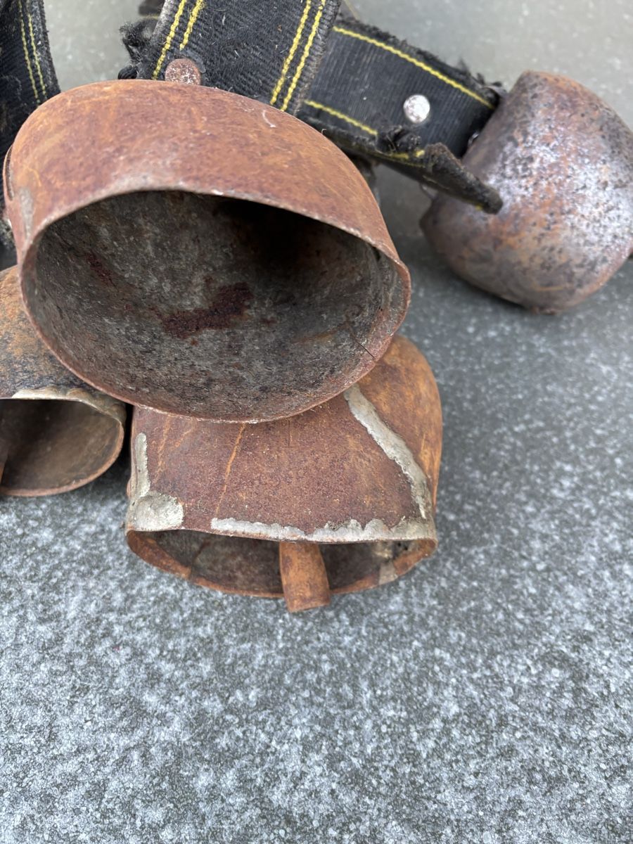 Campanacci mucche: 5 Rindertreicheli – Usato da Schangnau venduto da Roseggli82 3