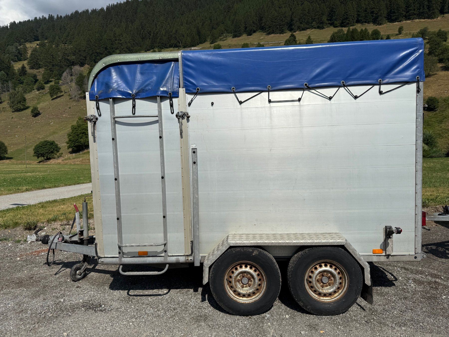 Daltec Rimorchi: Viehanhänger Daltec Cargo 25 – Usato da Münster venduto da werage 1