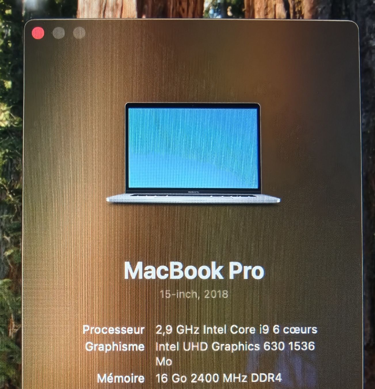Apple Notebook: Macbook 15" i9 – Usato da St-Martin FR venduto da MaxHsr 4