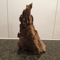 Holzwurzel, 21x13cm, 819g
