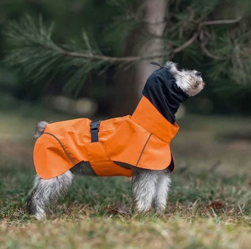 Abbigliamento: Hunderegenmantel Sweet – Nuovo e nell'imballaggio originale da Suhr venduto da Leo2567 1