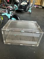 Kleines Terrarium