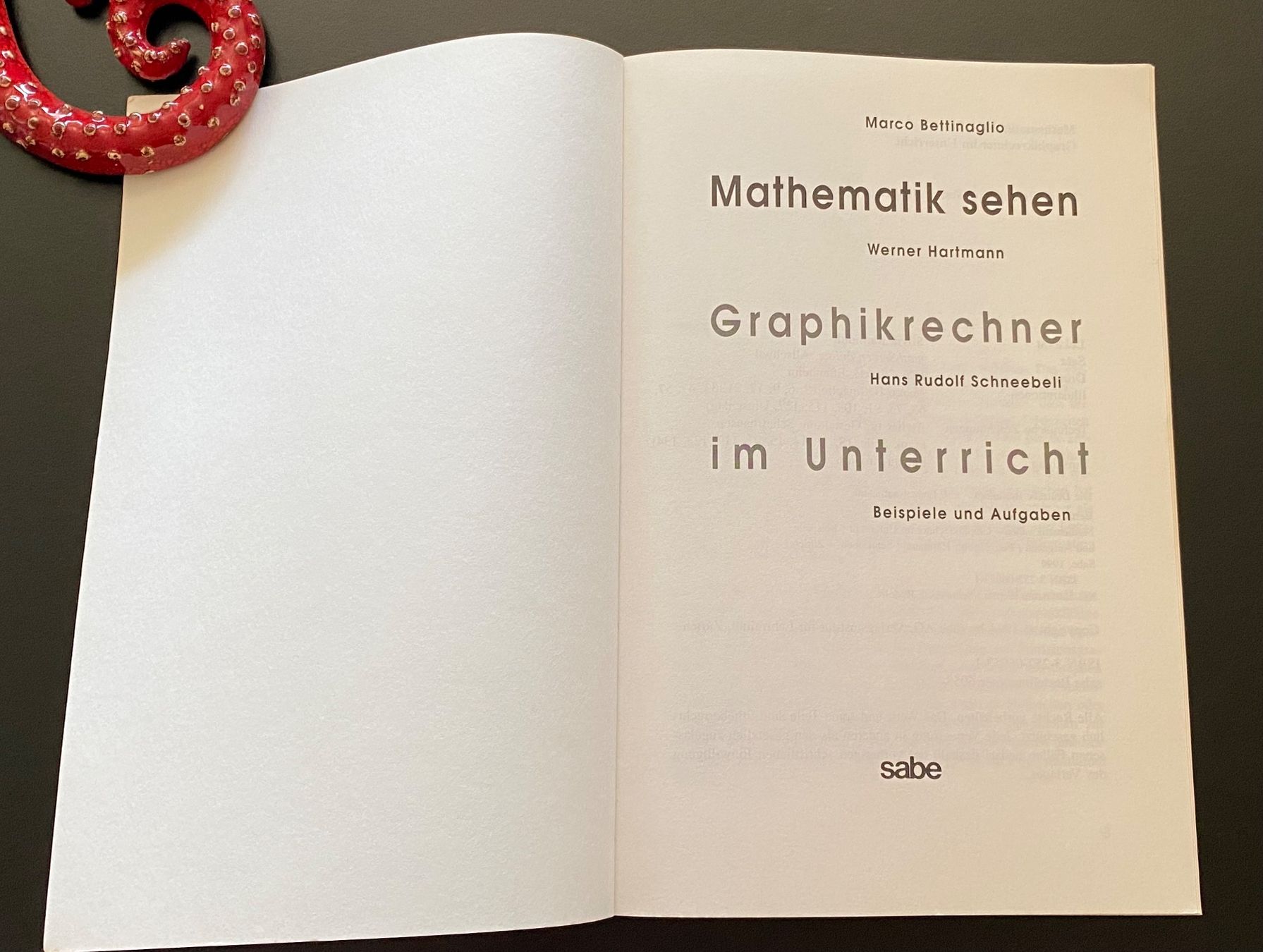 Libri: Mathematik sehen / Graphikrechner / im Unterricht – Usato da Nussbaumen AG venduto da schuba2000 2