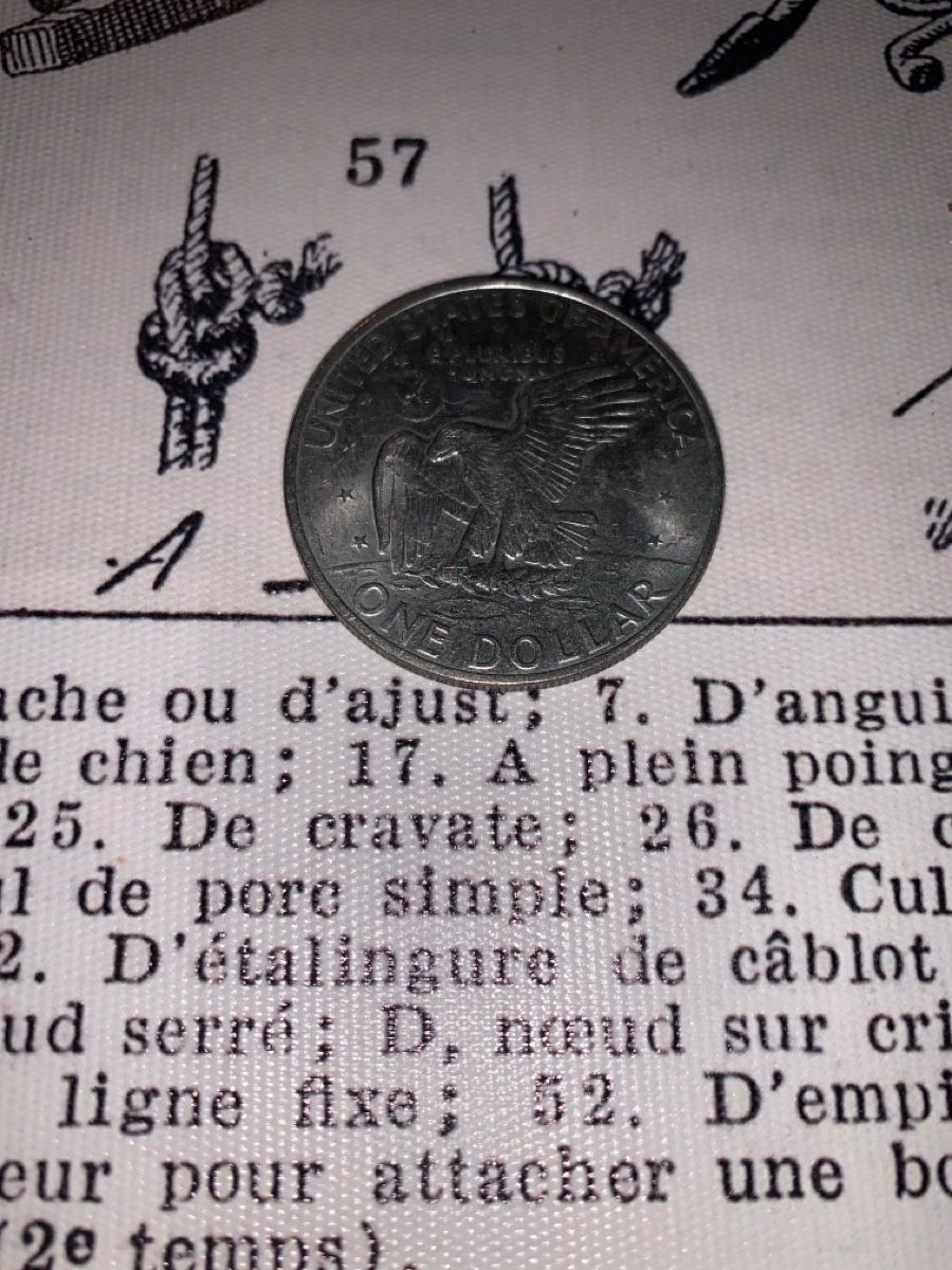 Tutti le monete: US-Münze "Liberty" 1971 T.Rosewelt – Nuovo (secondo la descrizione) da Jakobsbad venduto da FriedelSchmitt 3