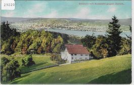 Baldern mit Aussicht gegen Zürich