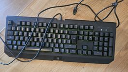 Gaming Testatur Razer "Blackwidow"