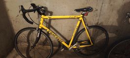 Vintage Racing Bike  
