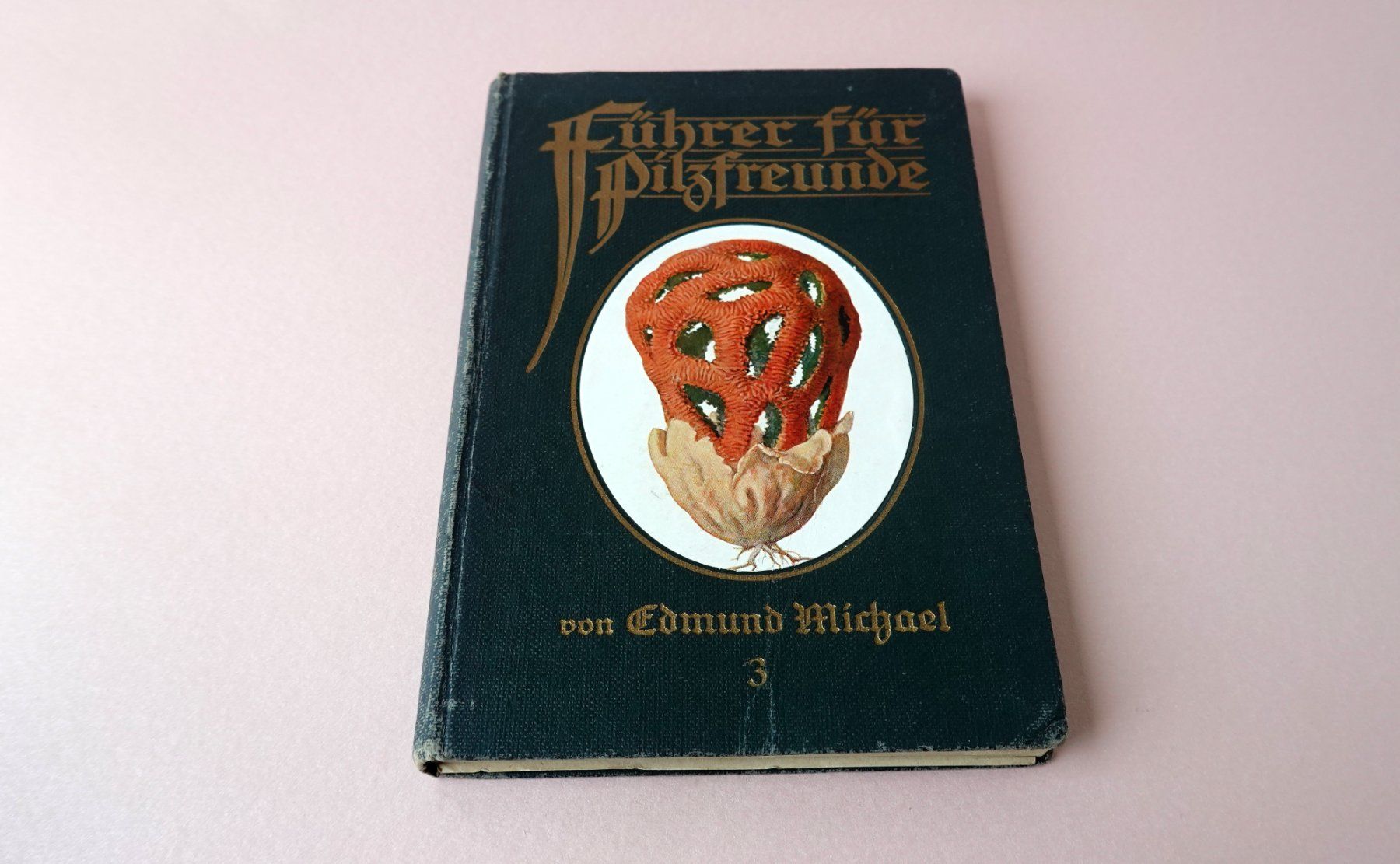 Libri: Pilzbuch Antik – Usato da Brunnen venduto da brocundfloh
