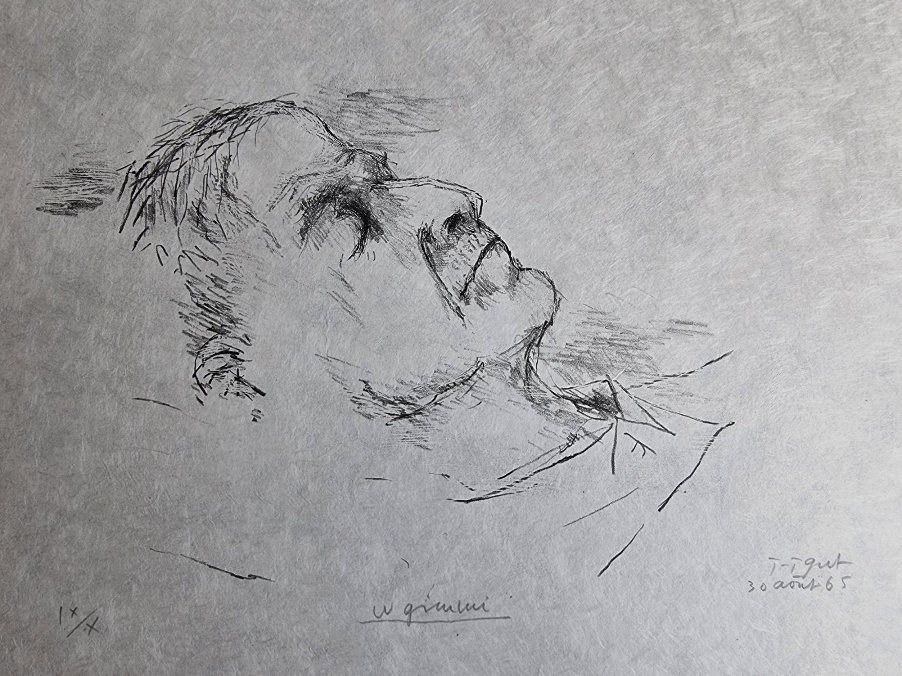 Grafica & Litografie: J.J.GUT LITHOGRAPHIE SIGNIERT NUMMERIERT – Usato da Gersau venduto da grafik-kunst