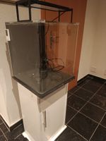 Top Aquarium mit sehr viel Zubehör und Unterschrank