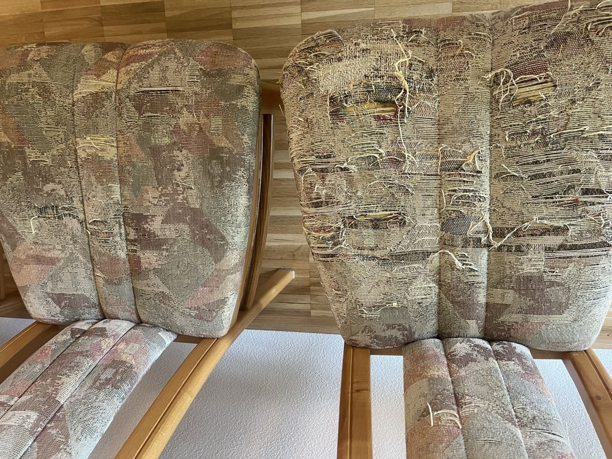 Chaises: Stühle – D'occasion à Liestal par sam_7lvn 2