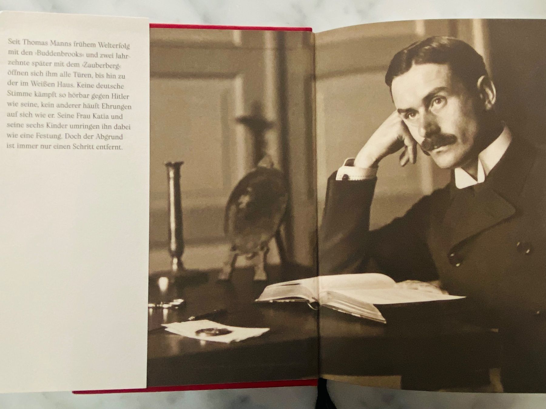 Libri: Biografie Thomas Mann, TILMANN LAHME, – Usato da Zürich venduto da eschwe 2