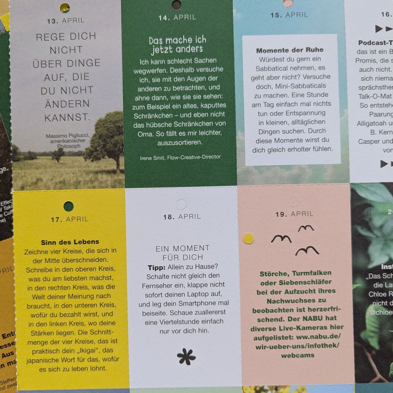 Kalender: FLOW 365Tage Kalender – Neu (gemäss Beschreibung) aus Bertschikon Gossau von Tokibunny 2