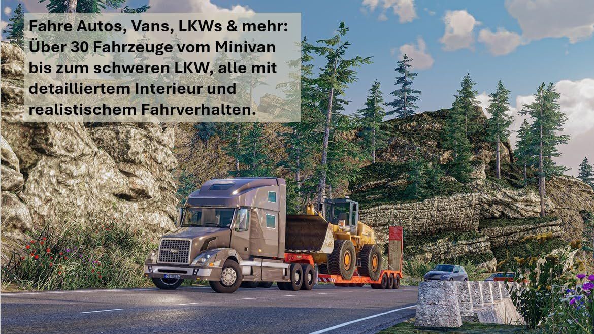 Nintendo Giochi: Truck & Logistics Simulator - Nintendo Switch 1+2 – Usato da Volketswil venduto da cinephilia 3