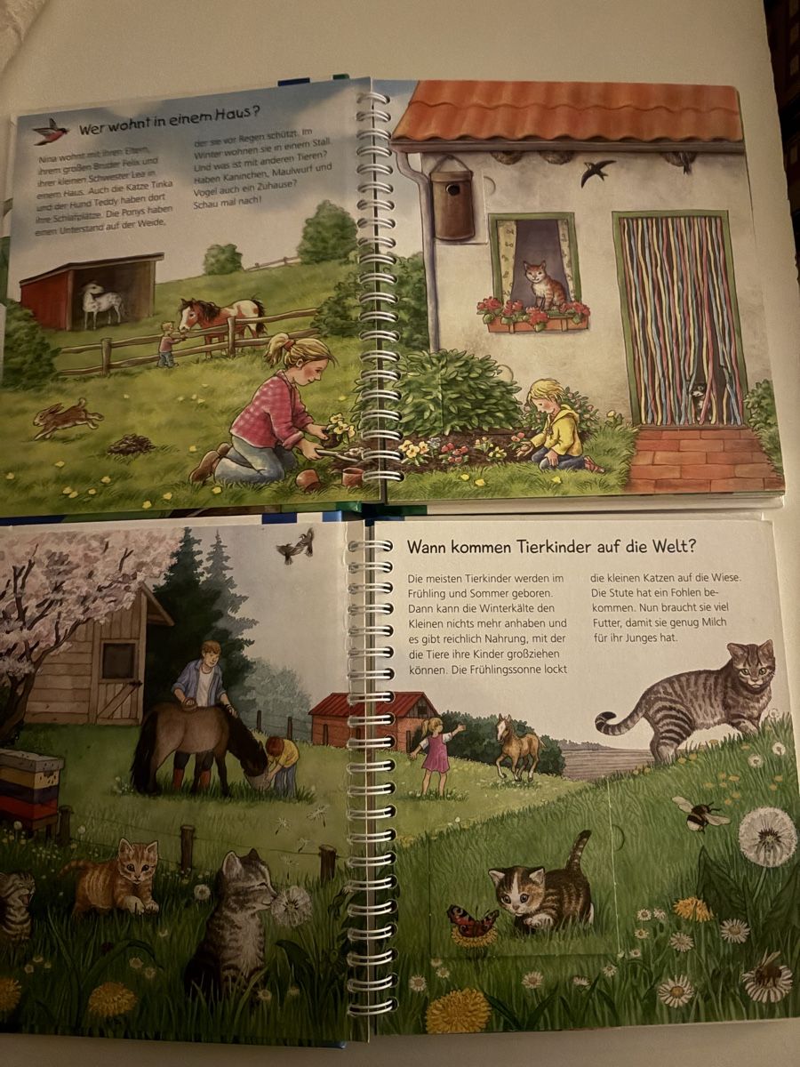 Bücher: Kinderbücher 2-4 Jahren – Gebraucht aus Büron von Flor2009 1