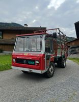 Lindner 3500 S Transporter mit Lüänd Ladegerät