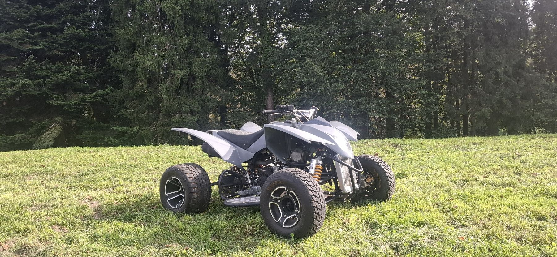 Smc (Sm) ATV / Quad: Quad SMC Trasher 320 SM – Usato da Pfäffikon SZ venduto da Msteiner1402 1