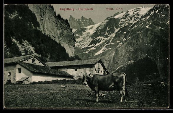 Cartes postales: AK Engelberg, Herrenrüti – D'occasion à Berlin par bartko-reher