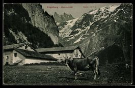 AK Engelberg, Herrenrüti