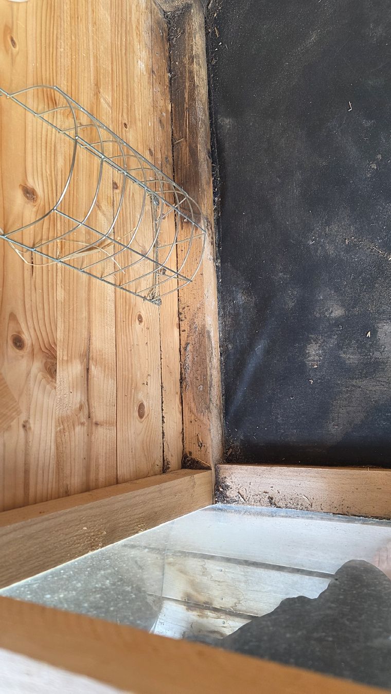 Gabbie, trasporto & Sicurezza: Meerschweinchenstall – Usato da Ossingen venduto da hoopie 8
