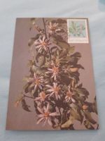 Carte postale vintage avec timbre - Fleurs printanières