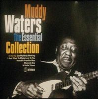 Muddy Waters - inc. "Got My Mojo Working", "Close to You",