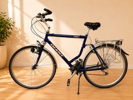 🚲❤️Giant Velo❤️🚲