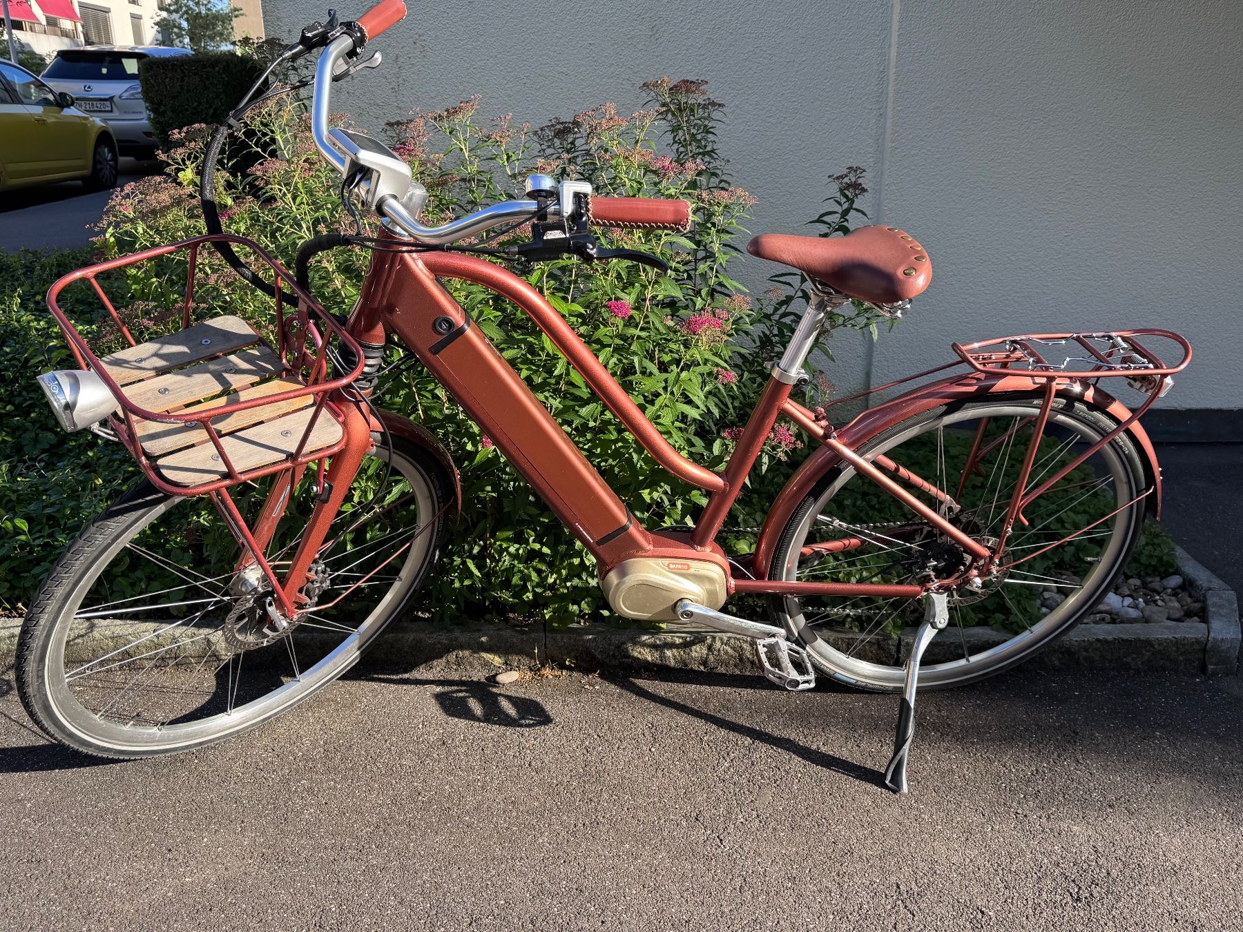 Ego Movement Velos: E-Bike Egomovement Cleopatra – Gebraucht aus Zürich von starsz
