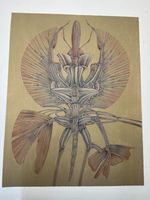 ALAIN LE FOLL LITHOGRAPHIE SIGNIERT NUMMERIERT