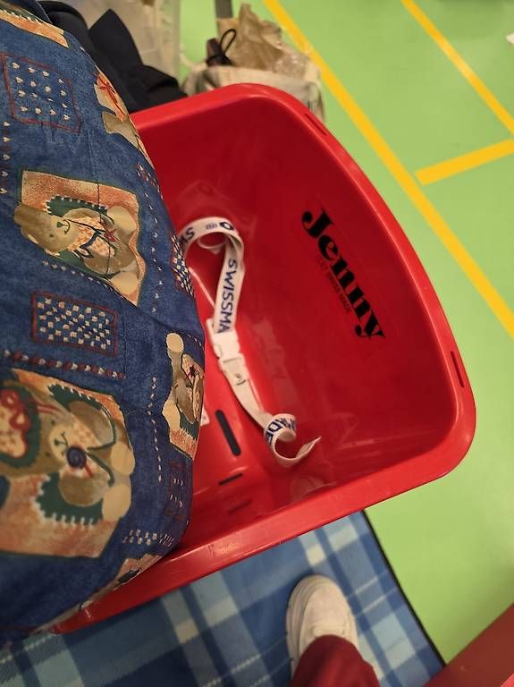 Slitta: Schlittenaufsatz sitz – Usato da Birmenstorf AG venduto da JenniferLopetrone 2