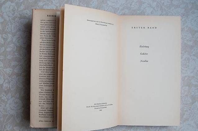 Libri: Theodor Storm "Gesammelte Werke" – Usato da Basel venduto da storchenricardo 1